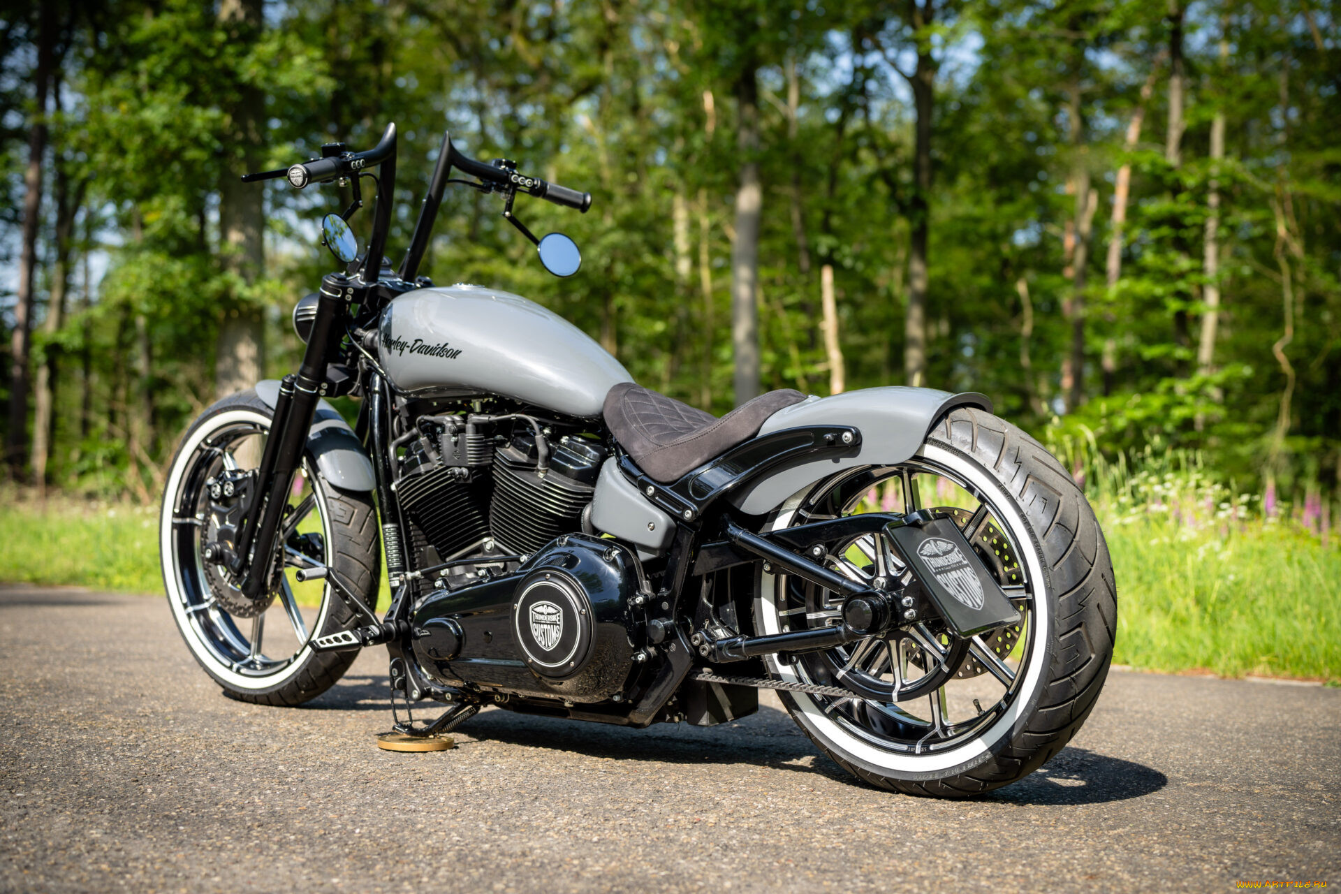, harley-davidson, softail, street, bob, radical, rider, customized, custombikes